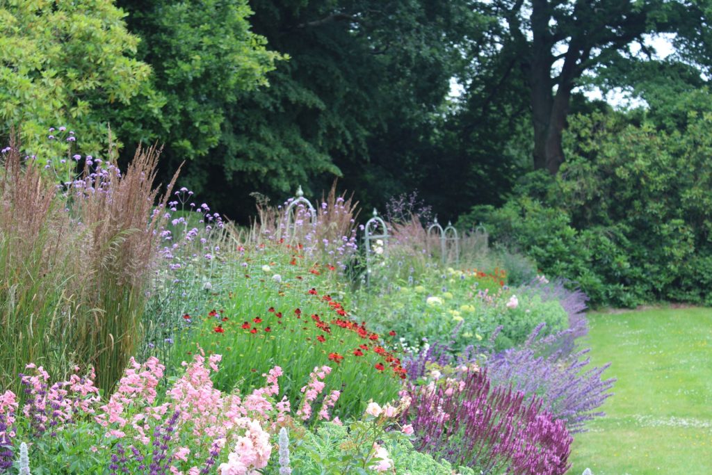 Finding The Best Plants for all our Gardens and How we Work with Local Nurseries, Sourcing the Best Plants for Every Garden Project for all our Clients.