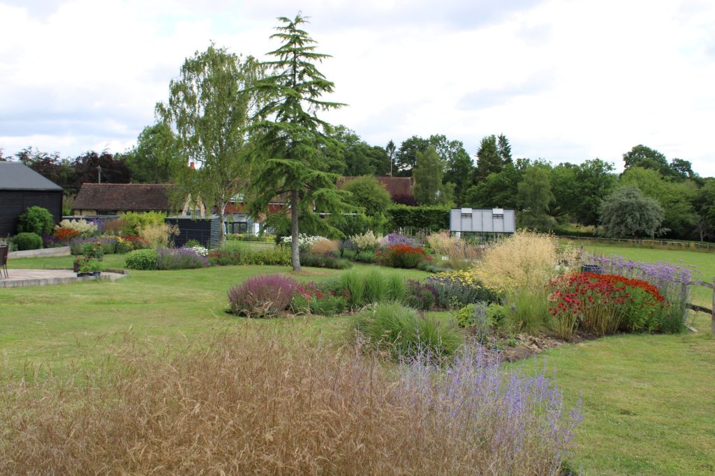 Why Hire a Garden Designer? Designing a garden today can feel overwhelming. Knowing where to begin and what will actually work can make all the difference.