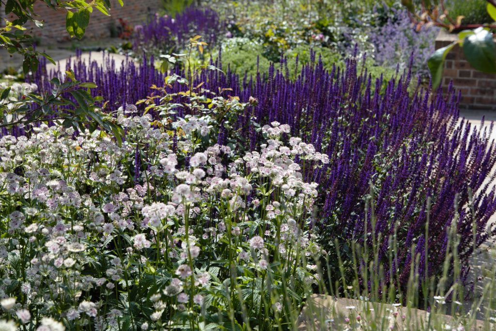 Getting Insight into the world of Garden Design. A Look at the Garden Design Process and how we transform your outdoor space into a beautiful, functional garden
