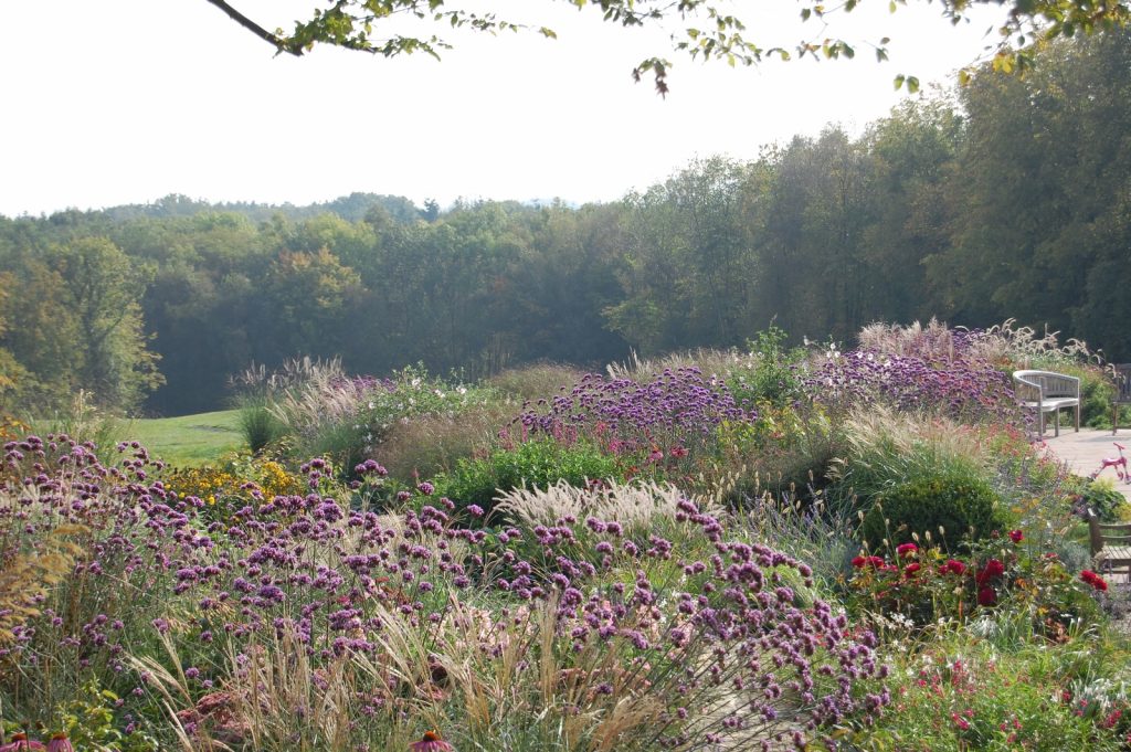 How to get the best from your garden