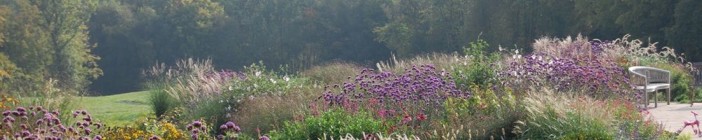 Garden Design based in Sussex