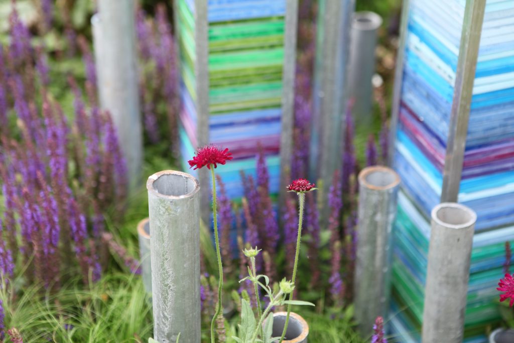 How to Design a Garden When you See Colour Differently

Life as a Colour Blind Garden Designer in West Sussex