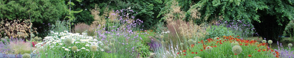 Garden Design based in Sussex