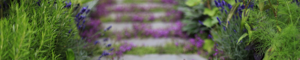 Garden Design based in Sussex