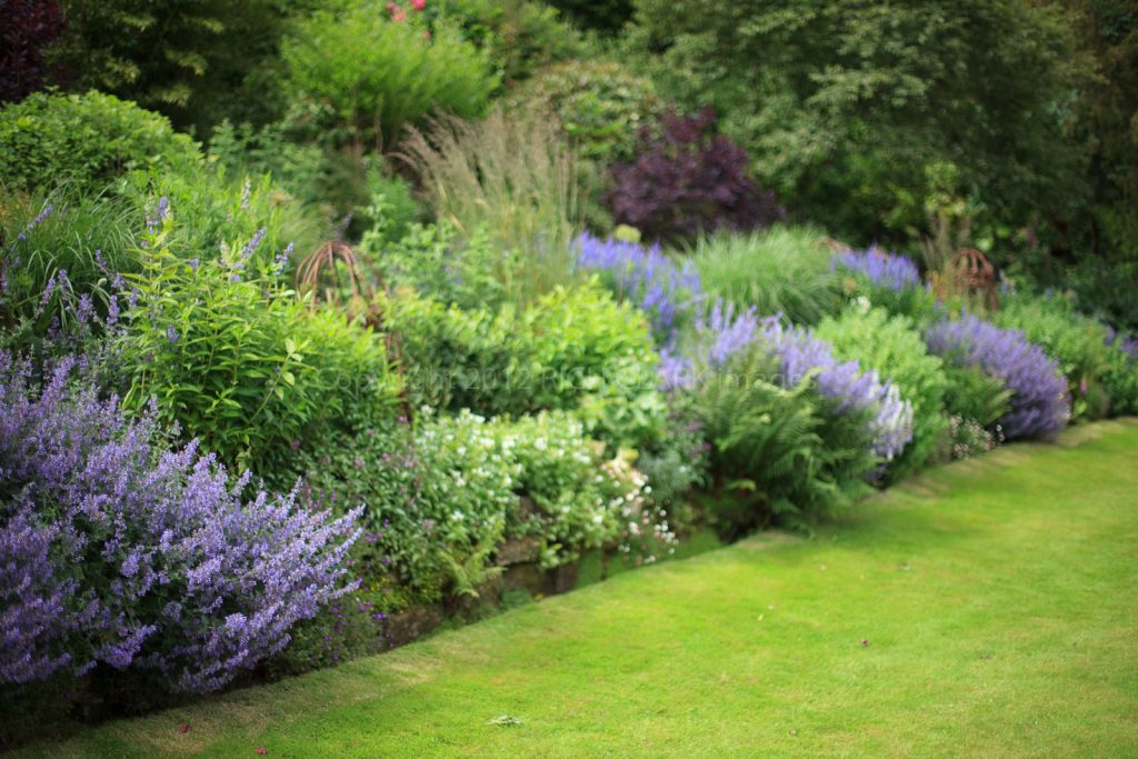 Why Professional Garden Design is the Most Important Part of the Garden Project and why you should work with a Designer to create the garden of your dreams.