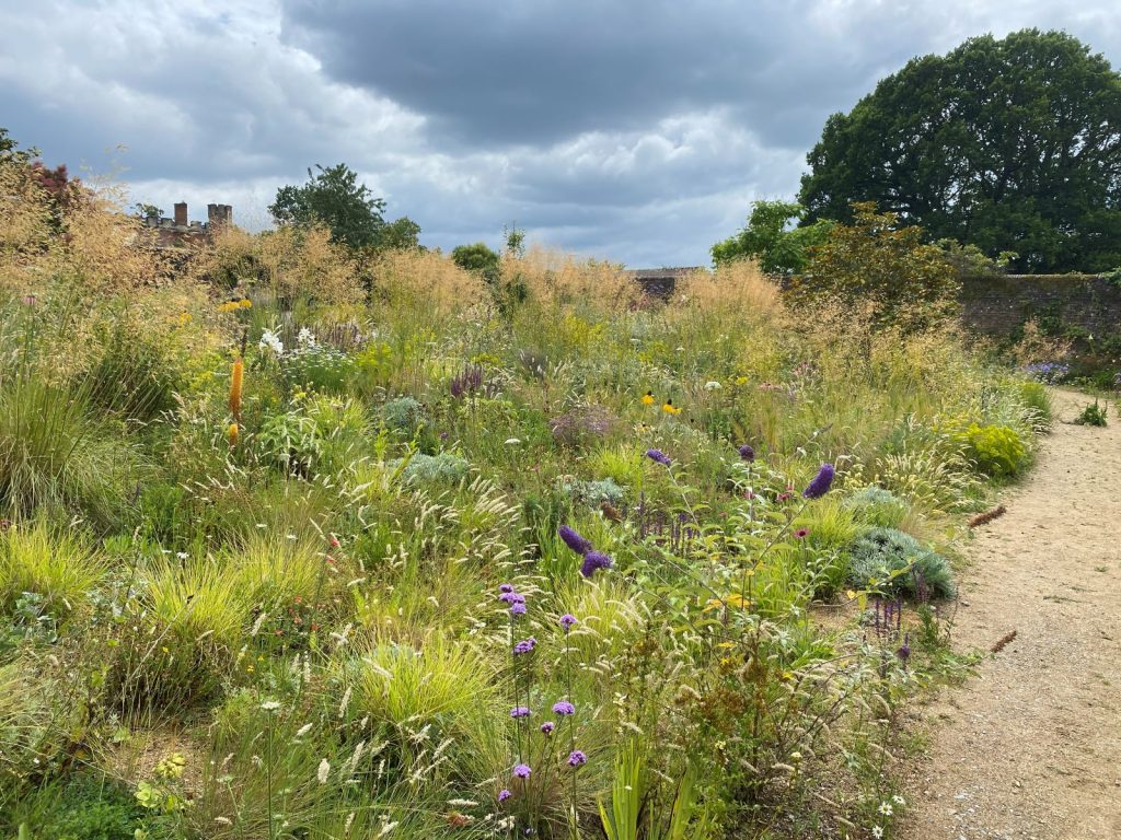 Sustainability & Garden Design that works with nature, creaating a living ecosystem, supporting wildlife, thriving plants, and the local environment. 