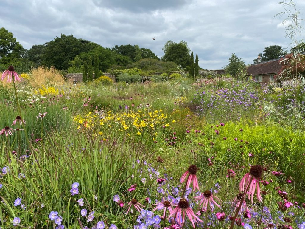 Sustainability & Garden Design that works with nature, creaating a living ecosystem, supporting wildlife, thriving plants, and the local environment.