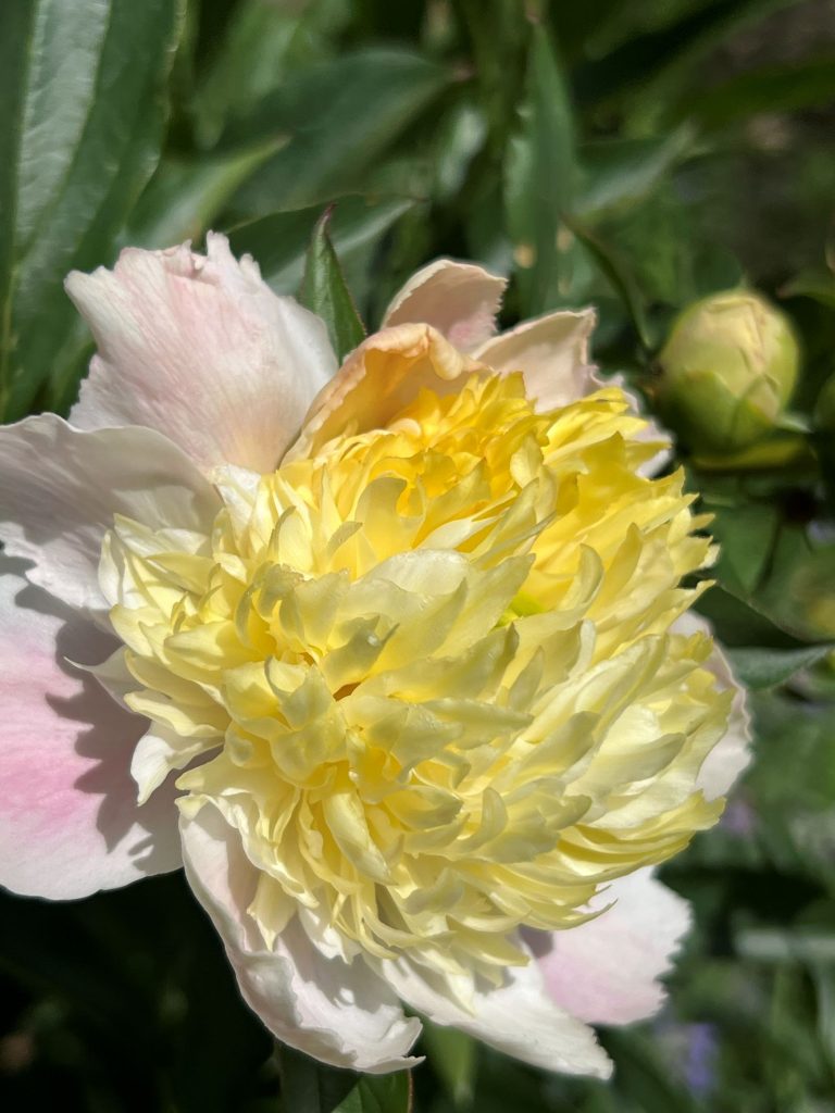 Feed Your Garden
