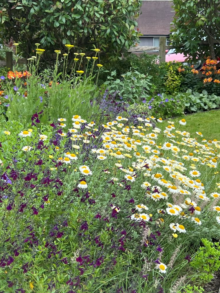Free-Draining Soil