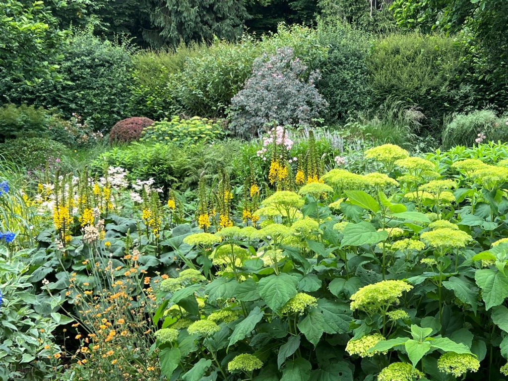 Advice on How to Water Your Garden After Planting