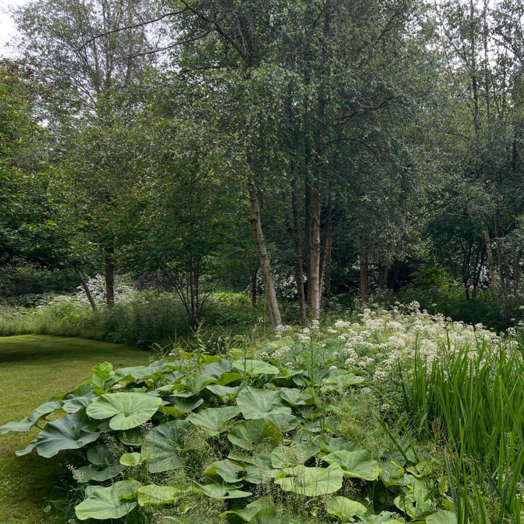 Woodland Garden